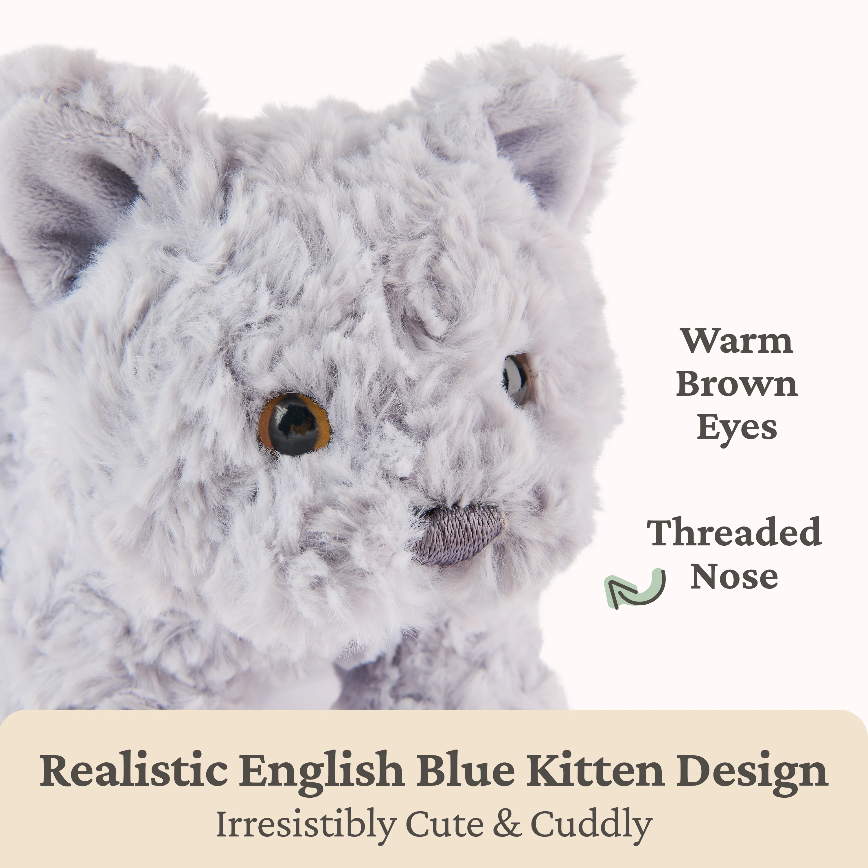 Bootsie English Blue Kitten, 9 in - Image 3