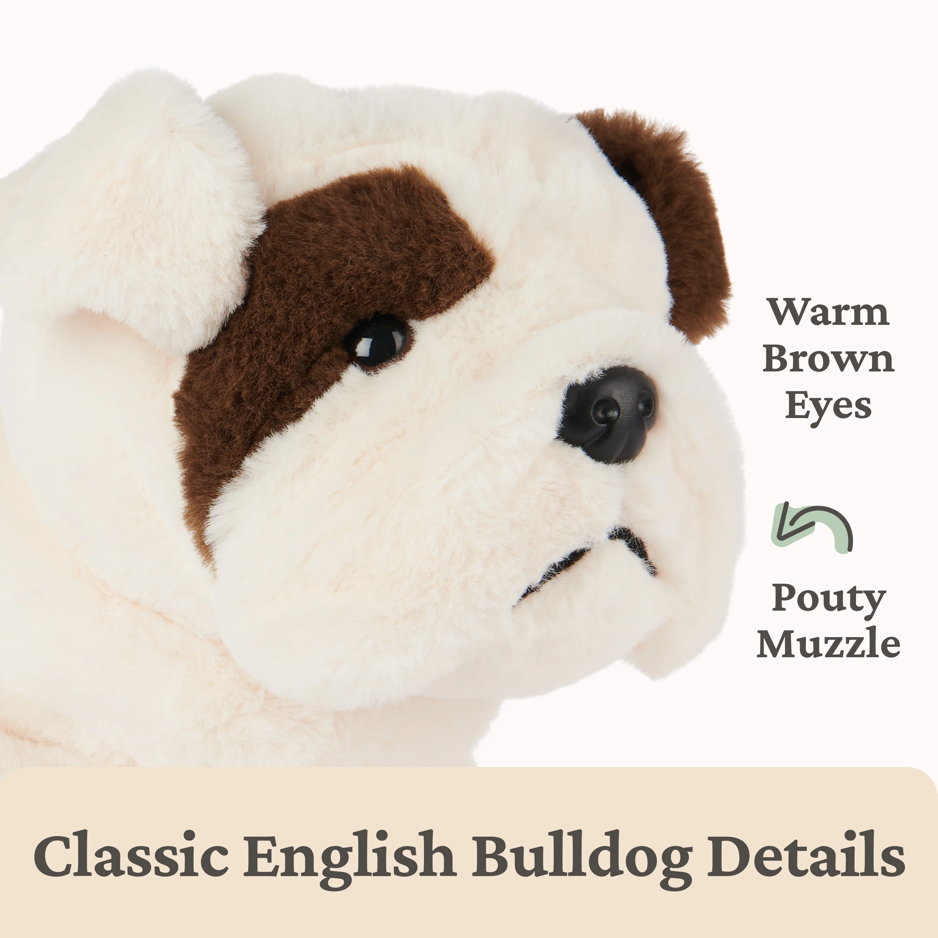 Toast Bulldog, 10 in - Image 3