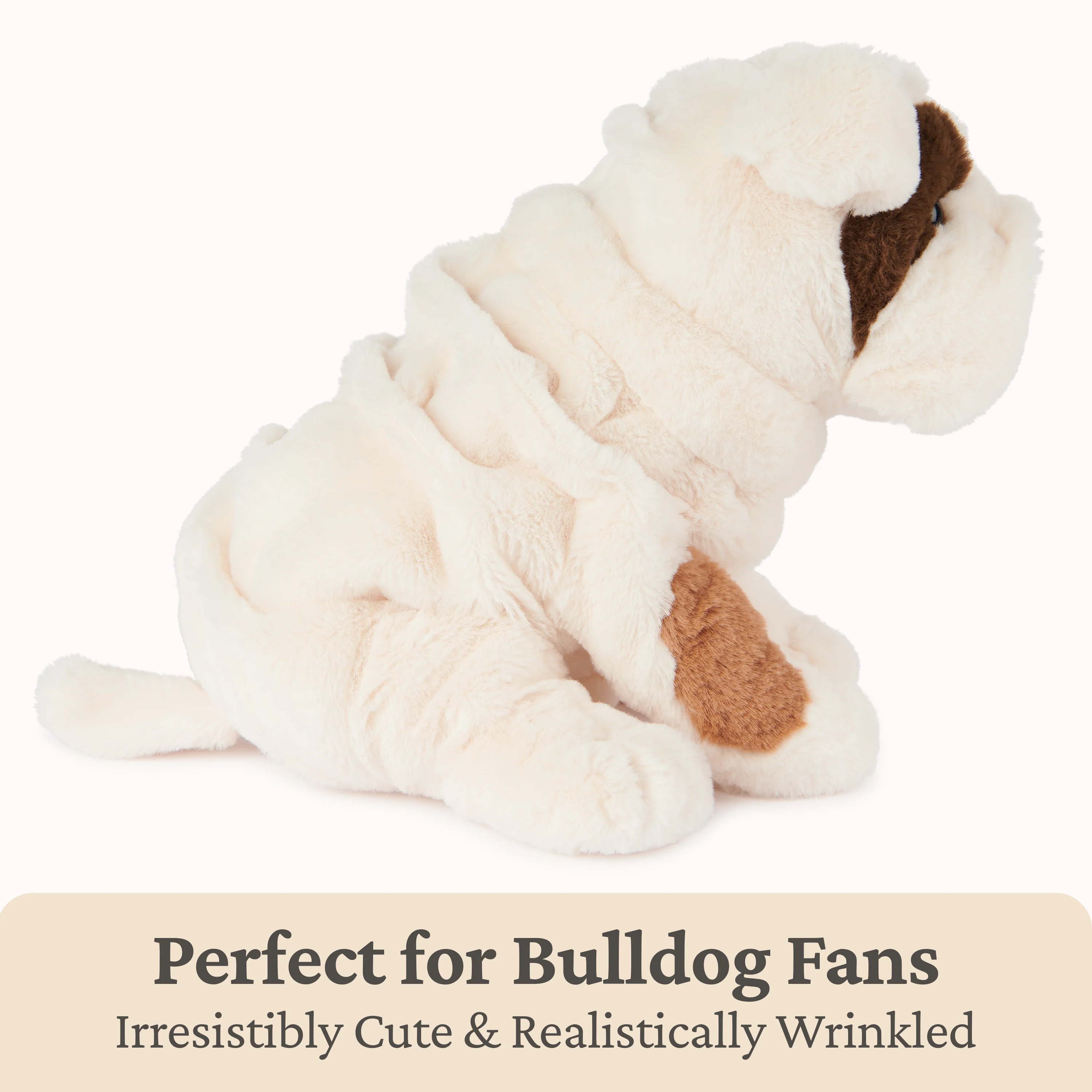 Toast Bulldog, 10 in - Image 6